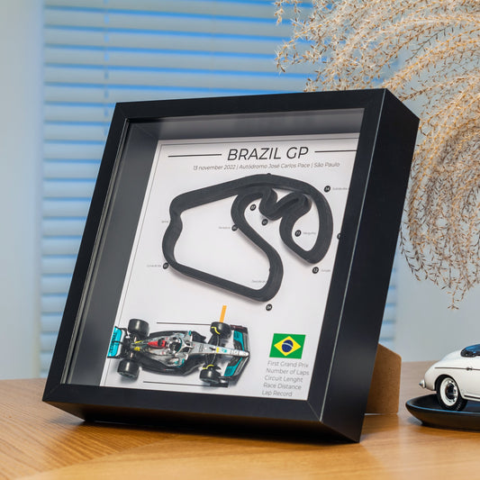 BRAZIL 2022 Grand Prix F1 frame with the winning car